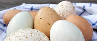Как проверить яйца на свежесть: способы определения для сырого и варенного продукта Определение свежести яиц в стакане