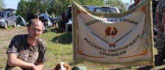 Выставка спаниелей динамо Межрегиональная секция русских охотничьих спаниелей