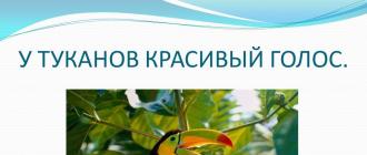 Животные и растения тропических лесов Эта шумная птица живущая в тропическом лесу